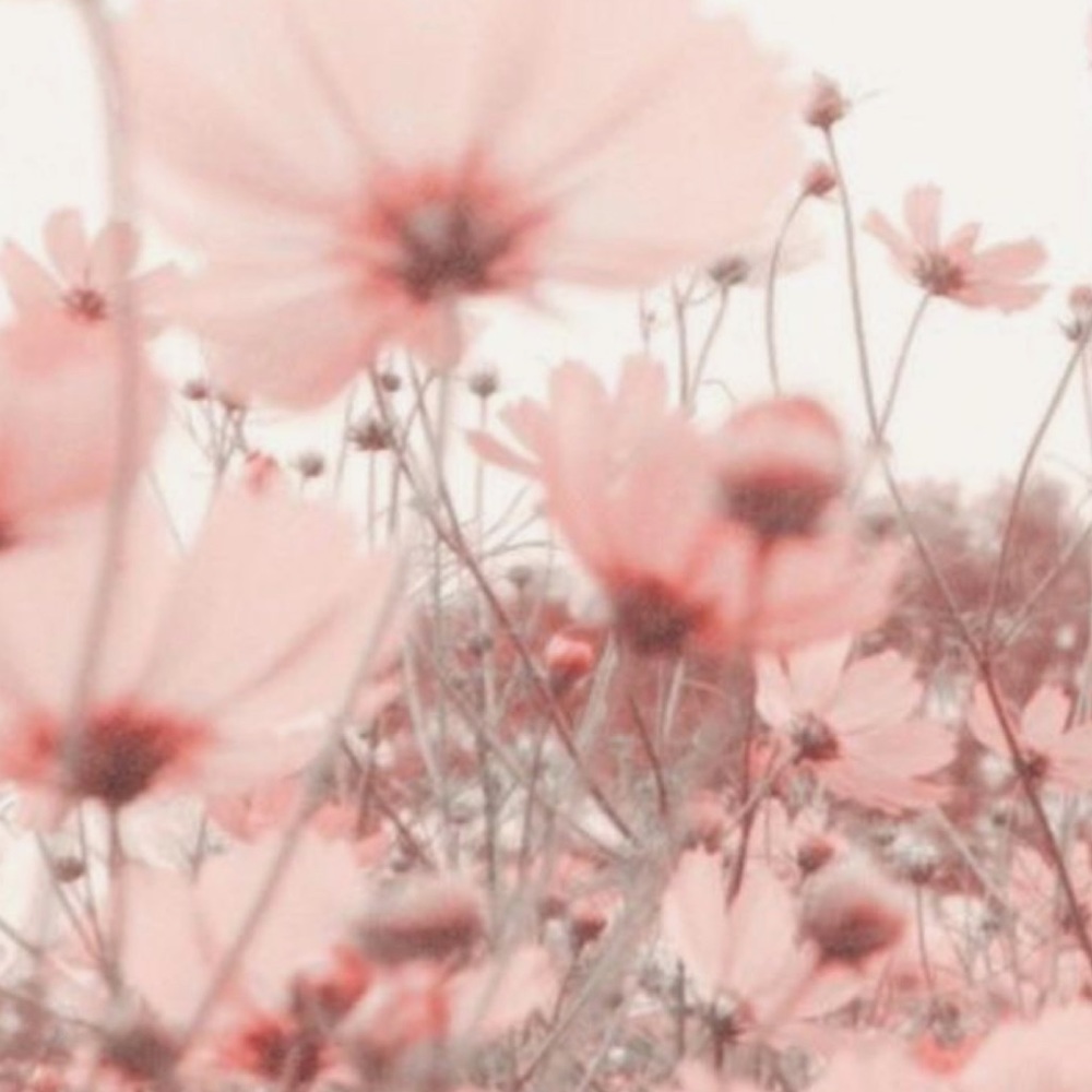 Ready For Spring? Comment Below - image 6